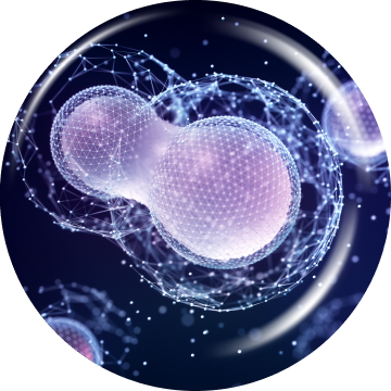 Experience the anti-aging benefits of stem-cell IV drip at Lienjang, helping your body self-repair and rejuvenate from within